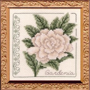 Gardenia Leaflet